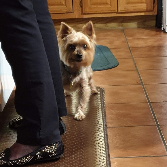 Meet your Poshers, Linda & Carol - Picture 6 of 6